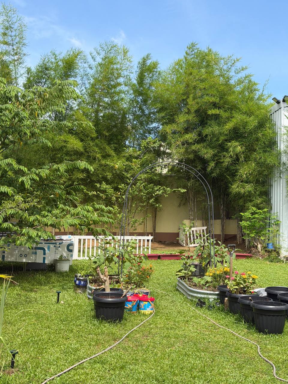 A backyard homeschool garden with a trellis arch, potted plants, a raised vegetable bed and bamboo